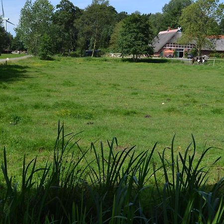 Ferienwohnung Suderfeld Brake  Esterno foto