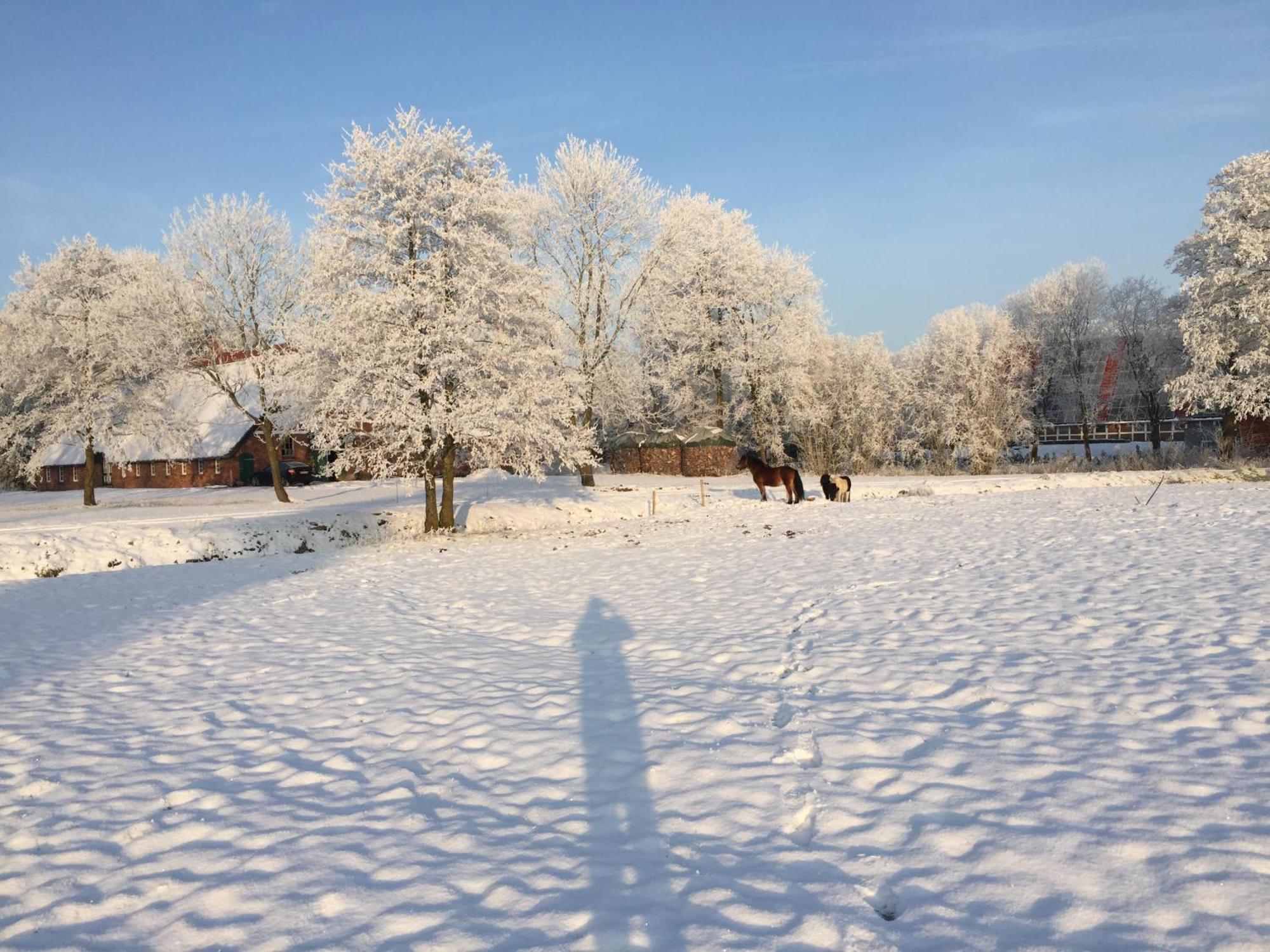 Ferienwohnung Suderfeld Brake  Esterno foto
